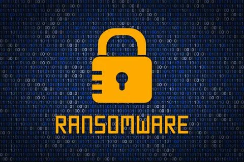 Ransomware encription. Data protection from hacking. Cyber security 스톡 일러스트
