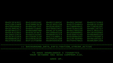 Ransomware malware Stock Footage 337197886