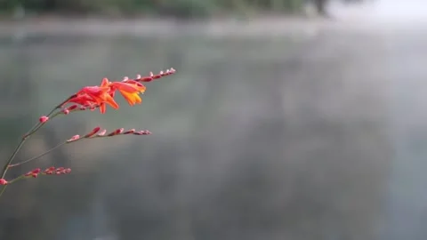 Ranu Kumbolo, Mount Semeru, Java, Indonesia. 4k Stock-Footage 247011551