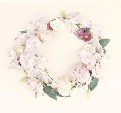 Ranunculus flat lay composition Stock Photos