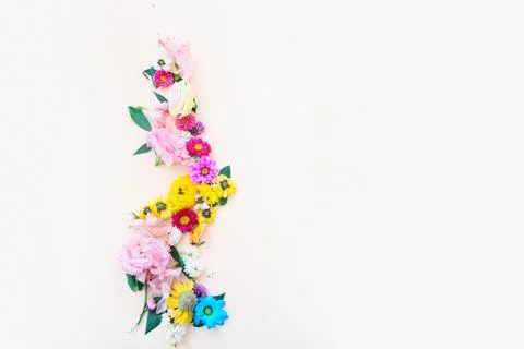 Ranunculus flat lay composition Stock Photos