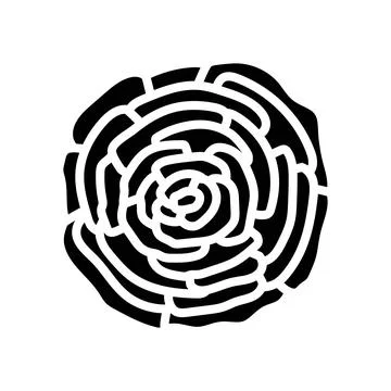 Ranunculus flower spring glyph icon vector illustration イラスト素材