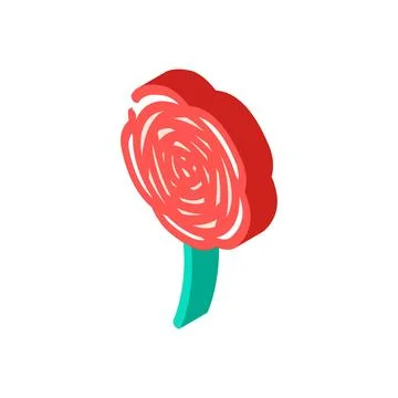 Ranunculus flower spring isometric icon vector illustration Stock Illustration