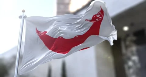 Rapa-nui-flag-waving-seamless-loop-4k-60fps Stock Footage 333647204