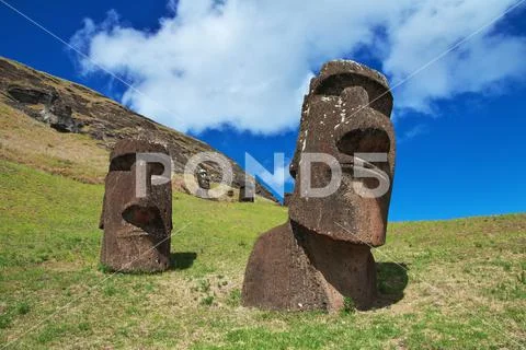 Rapa Nui. The statue Moai in Rano Raraku on Easter Island, Chile ...