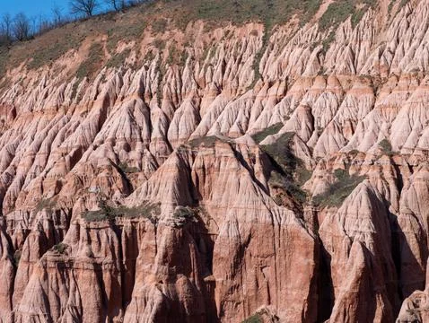 Rapa Rosie red pinnacles below a wooded ridge Foto stock