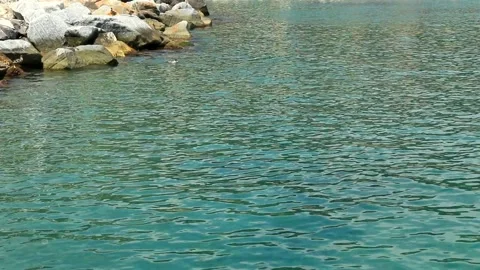 Rapallo in Liguria.  Stock Footage 135602027