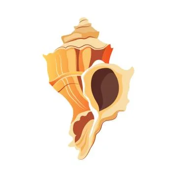 Rapana shell. An empty shell of a sea mollusk. Colorful cartoon illustration 스톡 일러스트