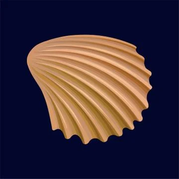 Rapana shell, an empty shell of a sea mollusk vector Illustration on a dark blue Illustrazione stock
