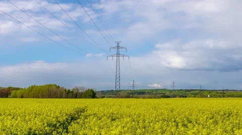 Rapaseed field hyperlapse in sweden 4k 動画素材 68647869