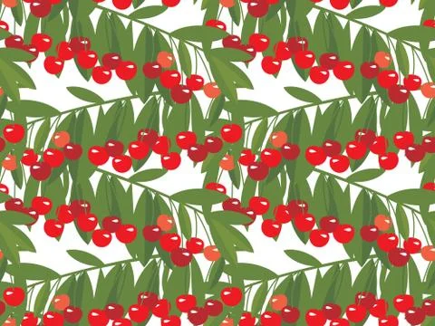 Rape cherry fruit seamless pattern. Illustrazione stock
