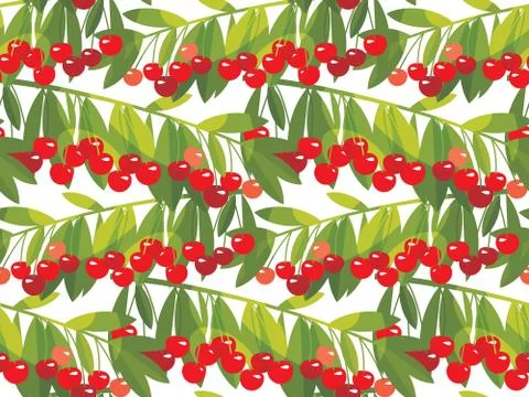 Rape cherry fruit  seamless pattern. Illustrazione stock