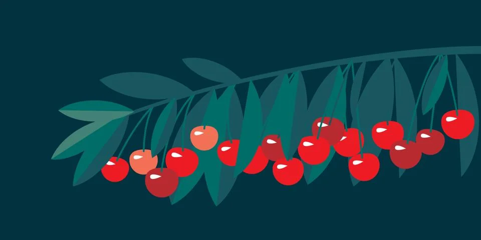 Rape cherry fruit simple flat design element. イラスト素材