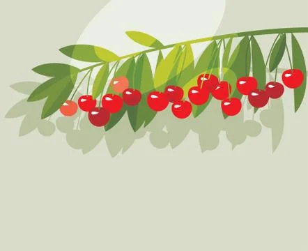 Rape cherry fruit simple flat design element. Stock Illustration