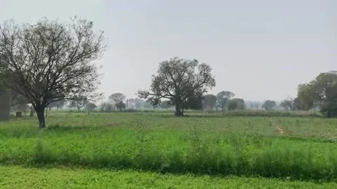 Rape of Dalit women to assert caste supremacy, control in rural India, INDIA, IN Stock Footage 204123147