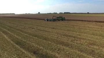 Rape discharge on a tractor, aerial view Stock Footage 85613258