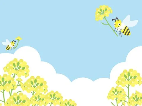 Rape field and bee background under the blue sky. Stock Illustration
