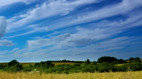 Rape field and blue sky with clouds moving. 4K TimeLapse Stock Footage 77634368