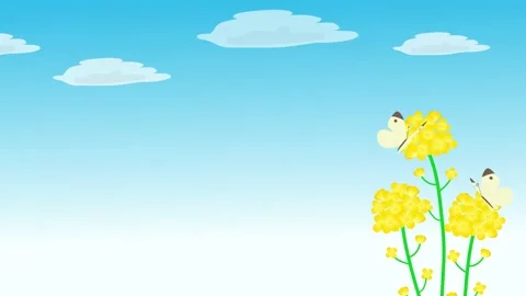 Rape field and butterfly animated background Stock Footage 169199674