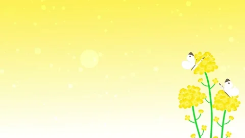 Rape field and butterfly animated background Stock Footage 169199675