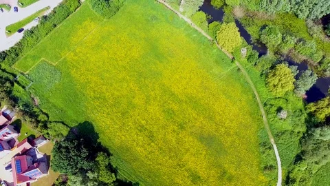 Rape field and lakes from above, aerial view on a hot summer's day Stock Footage 88737245