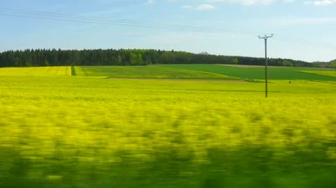 Rape field Stock Footage 498946