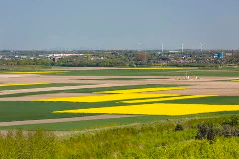 Rape Fields And Wind Turbines View Stock Photos