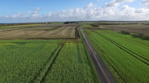 Rape fields and windmills Stock Footage 80908646