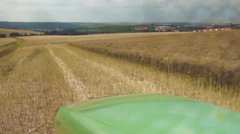 A rape harvest from the driver's perspective Stock Footage 40282342