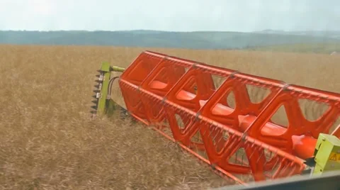 A rape harvest from the driver's perspective Stock Footage 40282899