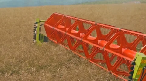 A rape harvest from the driver's perspective Stock Footage 40283768