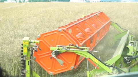 A rape harvest from the driver's perspective Stock Footage 40285322