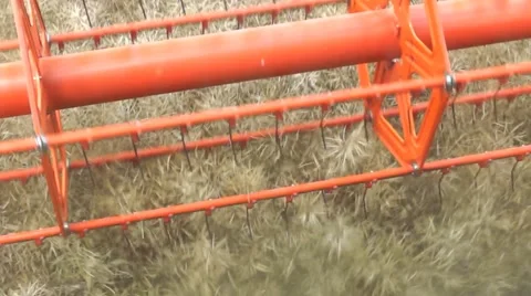 A rape harvest from the driver's perspective Stock Footage 40285667