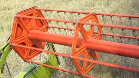 A rape harvest from the driver's perspective Stock Footage 40285938
