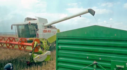 Rape harvest Stock Footage 40283808