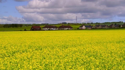 RAPE SEED FIELD CLOUDS SCARBOROUGH NORTH YORKSHIRE Stock Footage 76690920