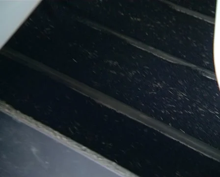 Rape seed sifting Stock Footage 10868694