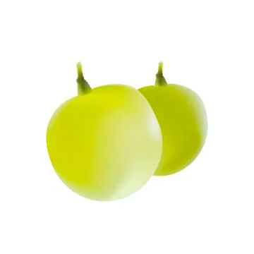 Rapes with seeds on white background 库存插图