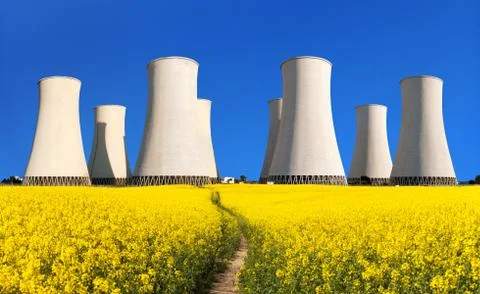 Rapesed field nuclear power plant cooling tower Stock Photos