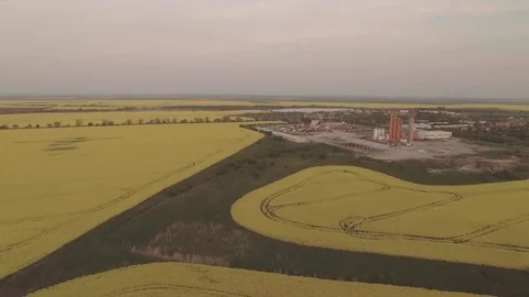 Rapeseed aerial at sunset 9 Stock Footage 89286943