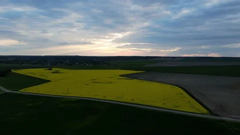 Rapeseed blooming field, shooting from a drone Stock Footage 205834254