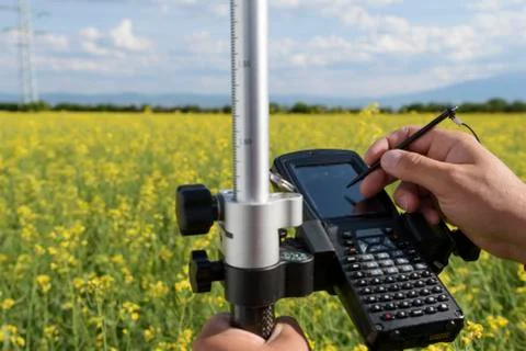 Rapeseed Controller Hands Hold Stock Photos