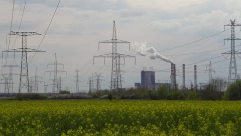 Rapeseed field with brown coal power plant Stock Footage 244476162