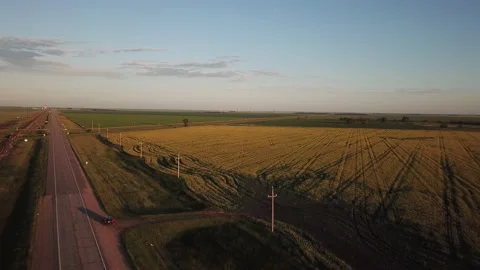 Rapeseed field. Large yellow rapeseed field, 4k. A drone flying over a rapeseed  Video stock 150683578