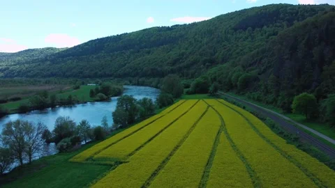 Rapeseed field next to a river and a railway with a peezd passing by Stock Footage 154377659