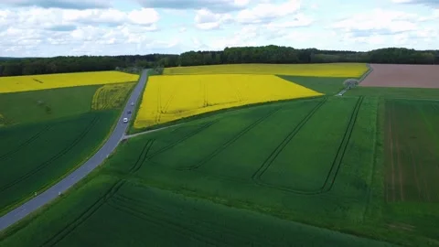 Rapeseed field by the road Stock Footage 154415448