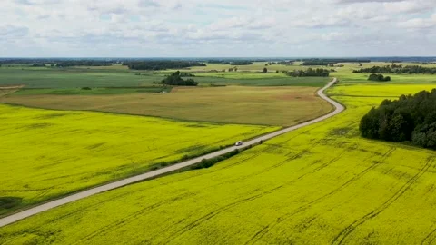 Rapeseed fields and countryside road Stock Footage 150628679