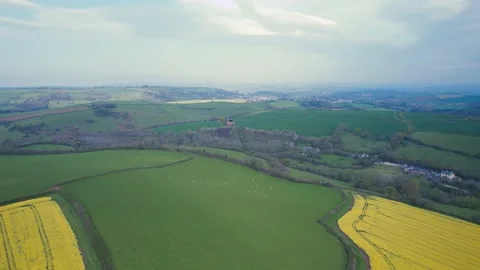 Rapeseed fields and Farmlands from a drone, Devon, England 動画素材 187554724
