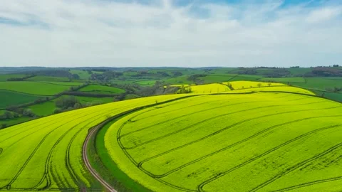 Rapeseed fields and farms from a drone, Devon, England Stock Footage 239538425