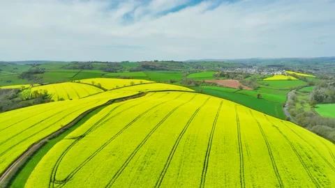 Rapeseed fields and farms from a drone, Devon, England Vidéo 239574273